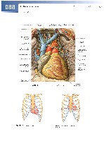 Sobotta  Atlas of Human Anatomy  Trunk, Viscera,Lower Limb Volume2 2006, page 95
